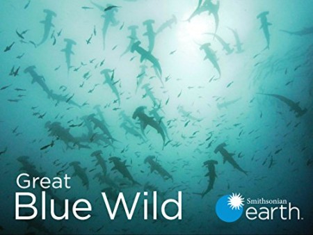 Great Blue Wild S02E05 Indonesia-Amazon of the Seas 480p x264-mSD