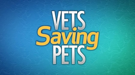 Vets Saving Pets S02E19 A Leg to Stand On WEB x264-CookieMonster