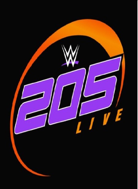 WWE 205 Live 2020 06 05 720p WEB h264-HEEL