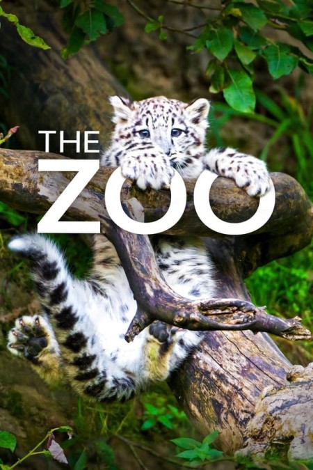 The Zoo US S04E12 Penguins In Love 720p HDTV x264-CRiMSON