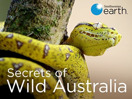 Secrets of Wild Australia S01E07 The Waterhole 480p x264-mSD