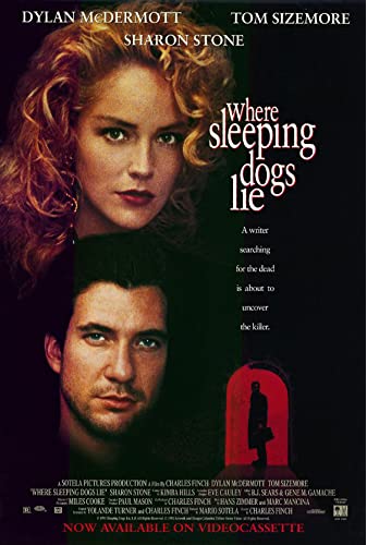 Where Sleeping Dogs Lie 2020 1080p WEBRip 1400MB DD2 0 x264-GalaxyRG