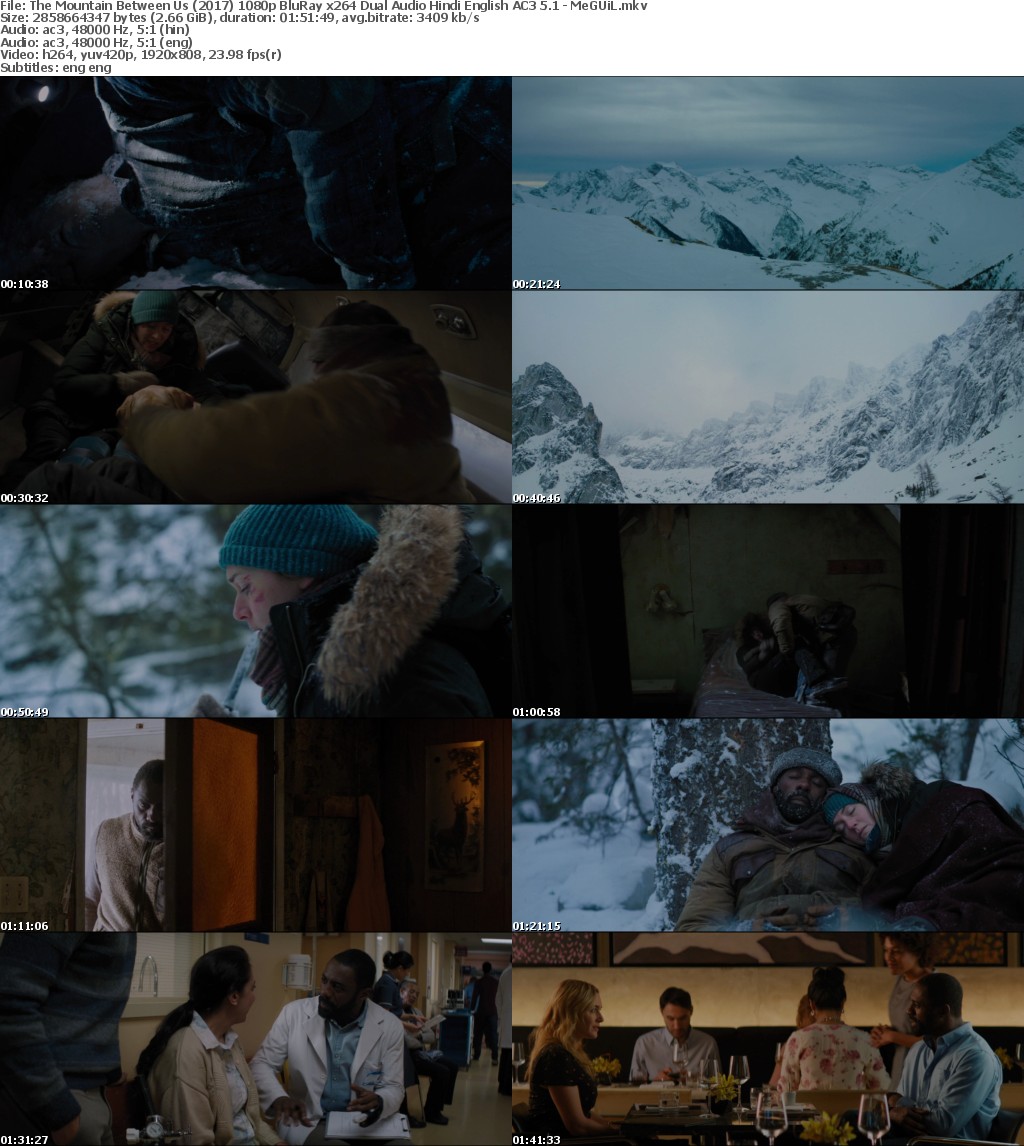 The Mountain Between Us (2017) 1080p BluRay x264 Dual Audio Hindi English AC3 5 1 - MeGUiL
