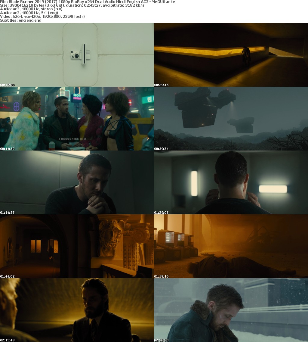 Blade Runner 2049 (2017) 1080p BluRay x264 Dual Audio Hindi English AC3 - MeGUiL