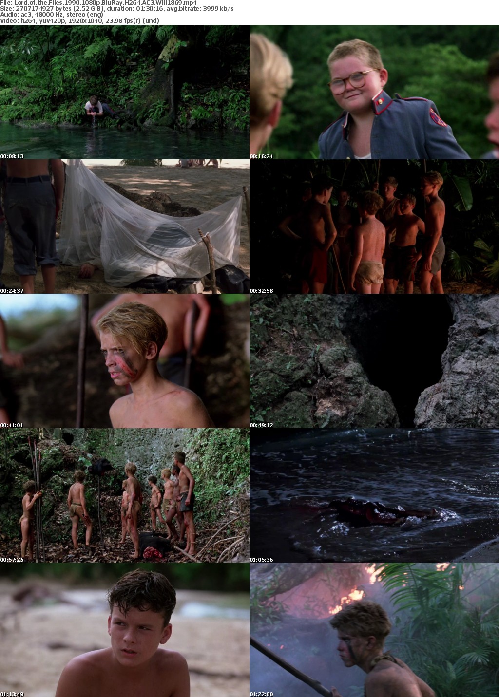 Lord of the Flies 1990 1080p BluRay H264 AC3 Will1869