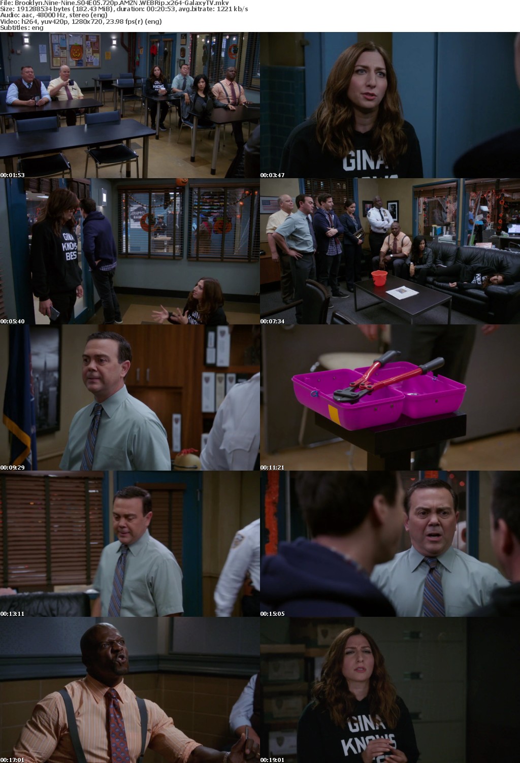 Brooklyn Nine-Nine S04 COMPLETE 720p AMZN WEBRip x264-GalaxyTV