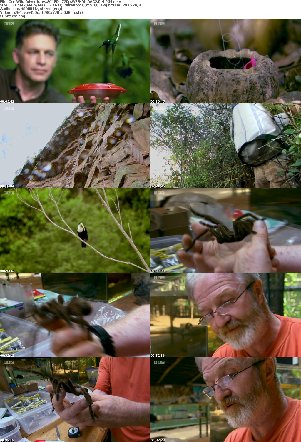 Our Wild Adventures S01E04 720p WEB-DL AAC2 0 H264