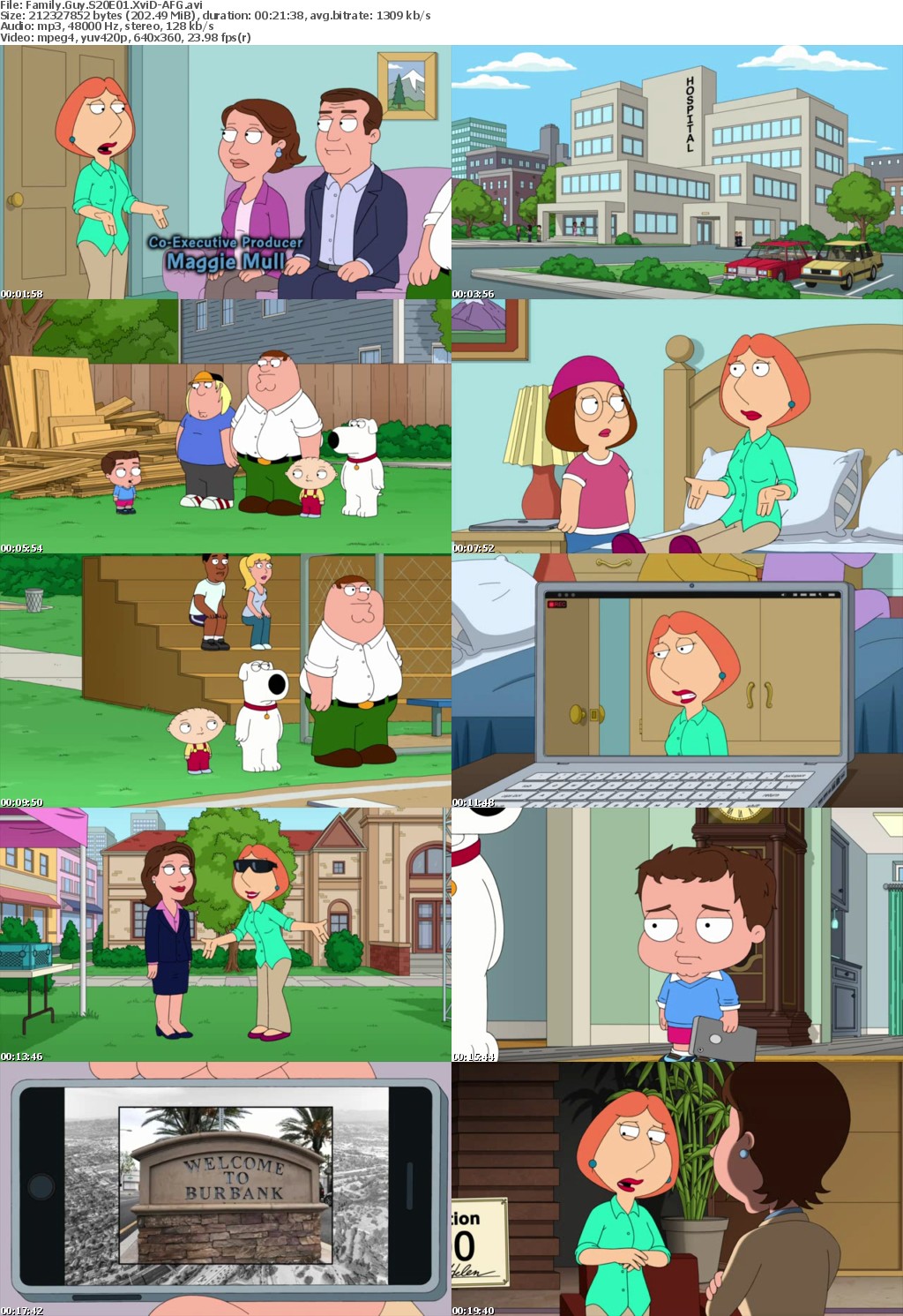 Family Guy S20E01 XviD-AFG