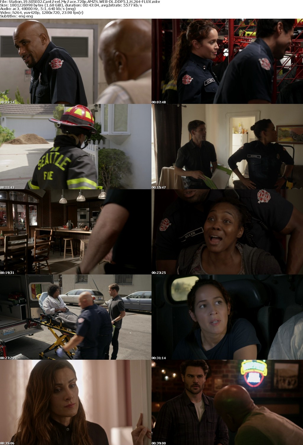 Station 19 S05E02 Cant Feel My Face 720p AMZN WEBRip DDP5 1 x264-FLUX