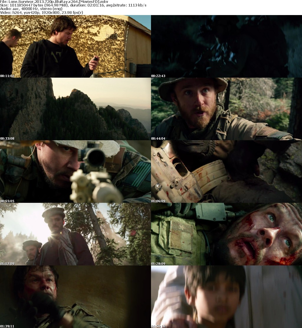 Lone Survivor (2013) 720p BluRay x264 - MoviesFD
