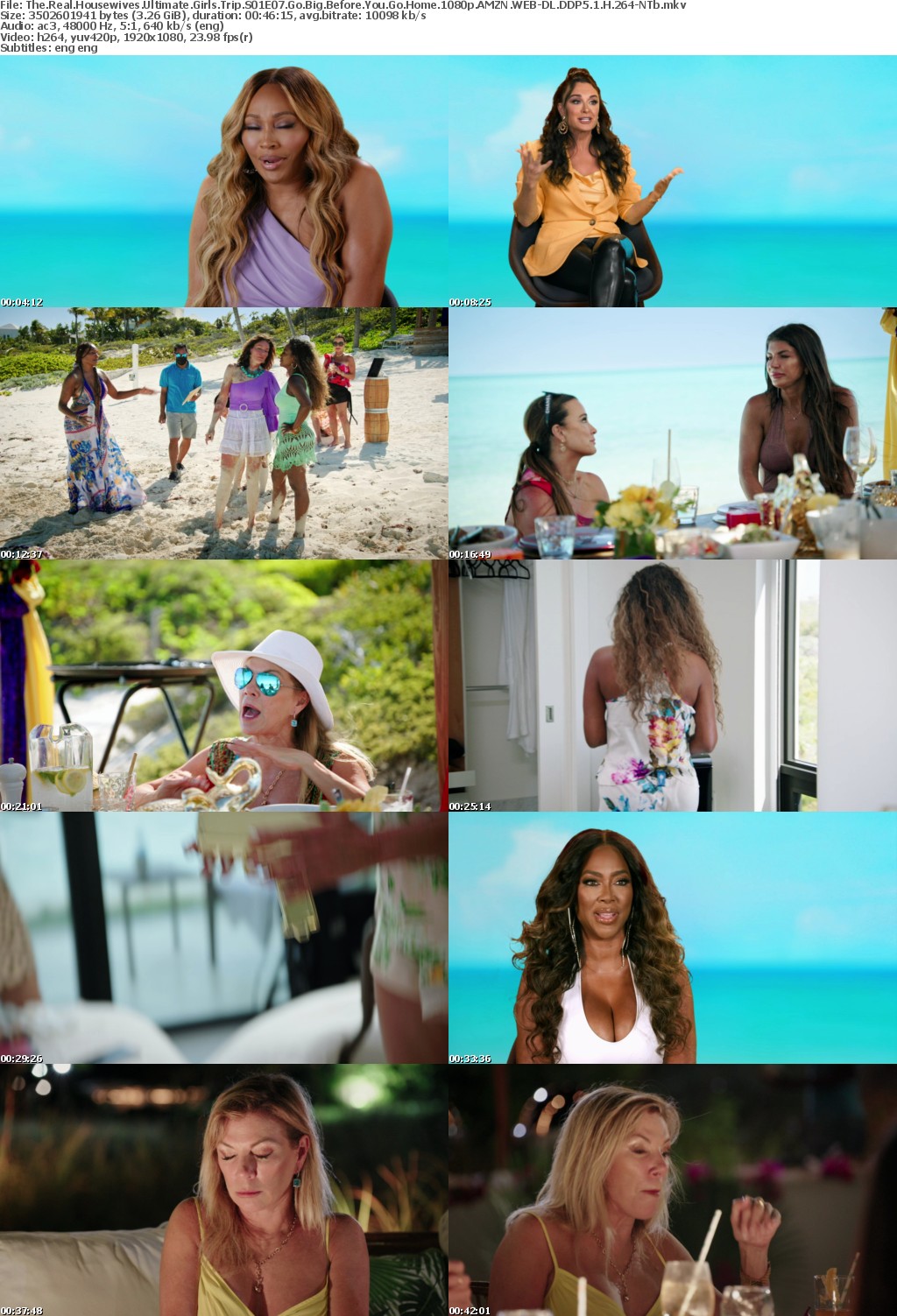 The Real Housewives Ultimate Girls Trip S01E07 Go Big Before You Go Home 1080p AMZN WEB-DL DDP5 1 H 264-NTb