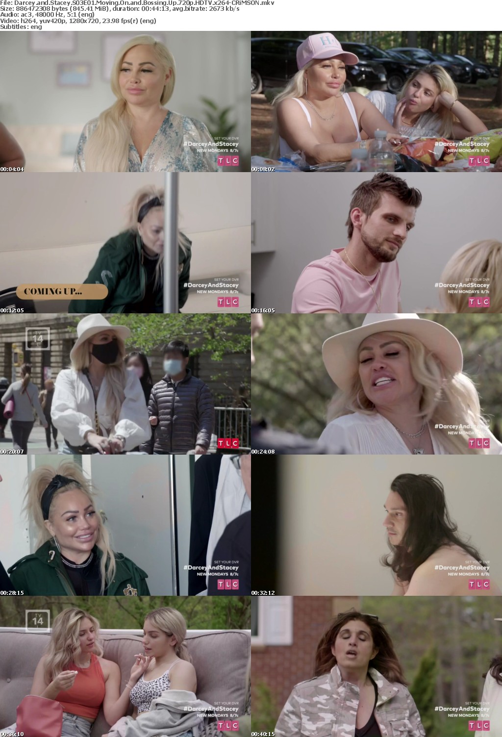 Darcey and Stacey S03E01 Moving On and Bossing Up 720p HDTV x264-CRiMSON