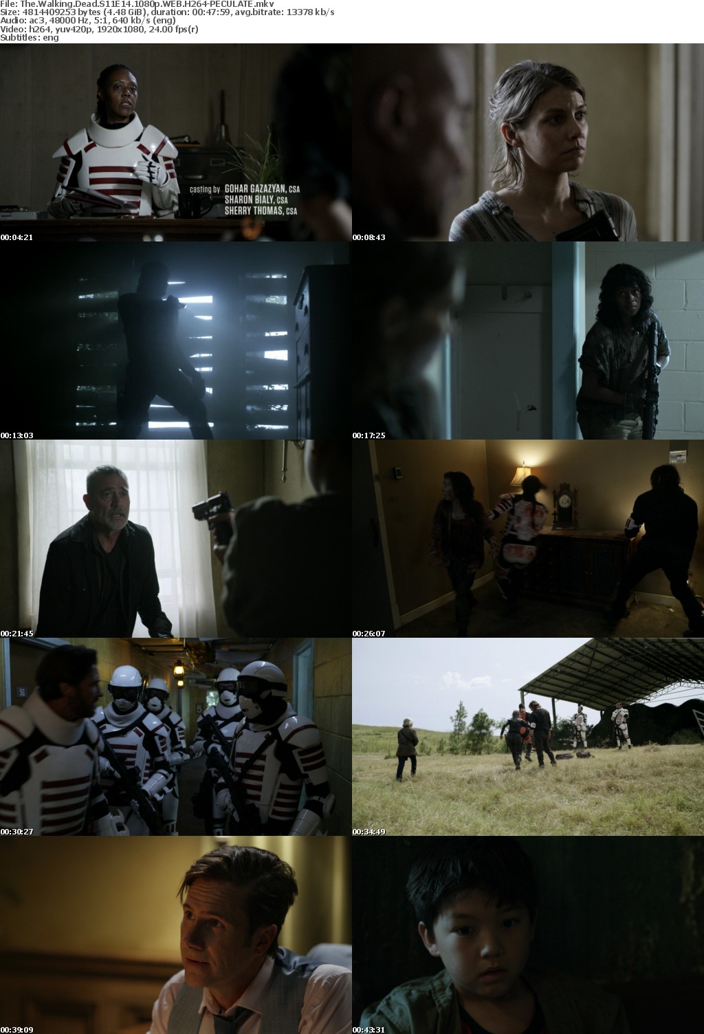 The Walking Dead S11E14 1080p WEB H264-PECULATE