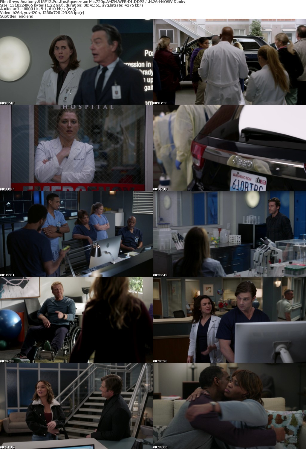 Greys Anatomy S18E13 Put the Squeeze on Me 720p AMZN WEBRip DDP5 1 x264-NOSiViD
