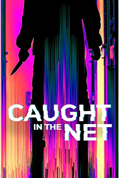 Caught in the Net S01E03 480p x264-mSD