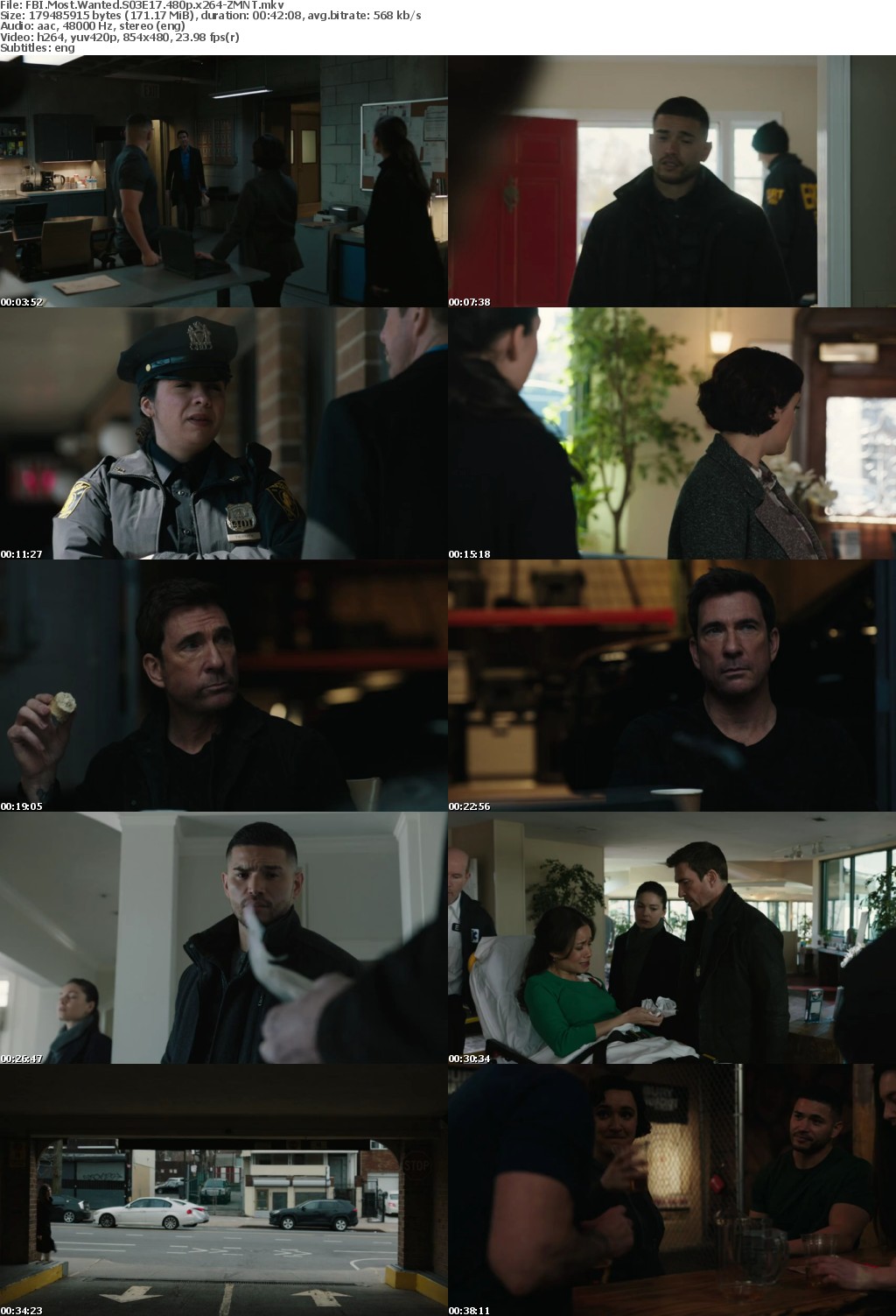 FBI Most Wanted S03E17 480p x264-ZMNT