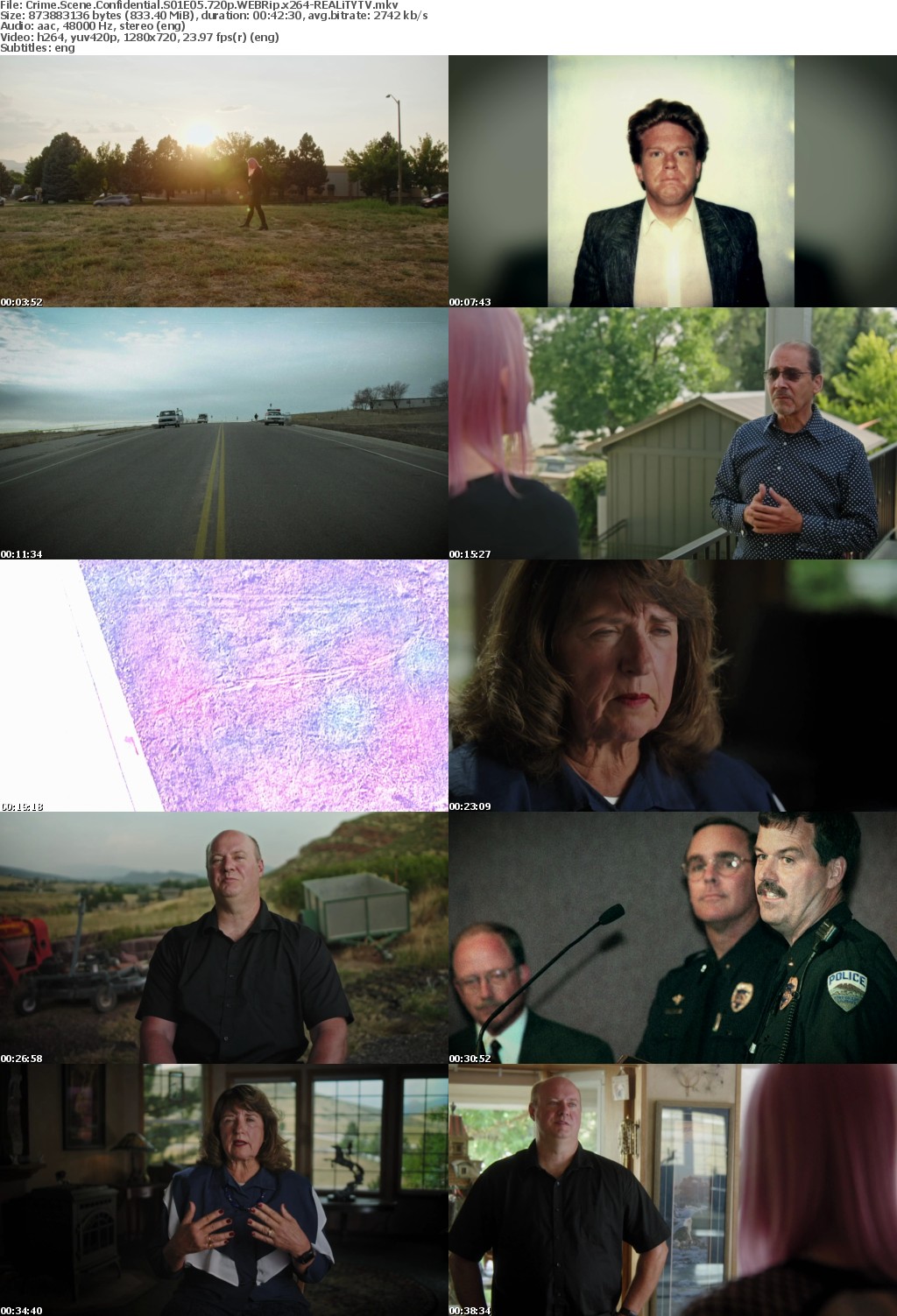 Crime Scene Confidential S01E05 720p WEBRip x264-REALiTYTV