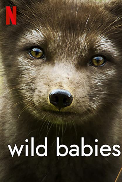 Wild Babies S01 WEBRip x265-ION265