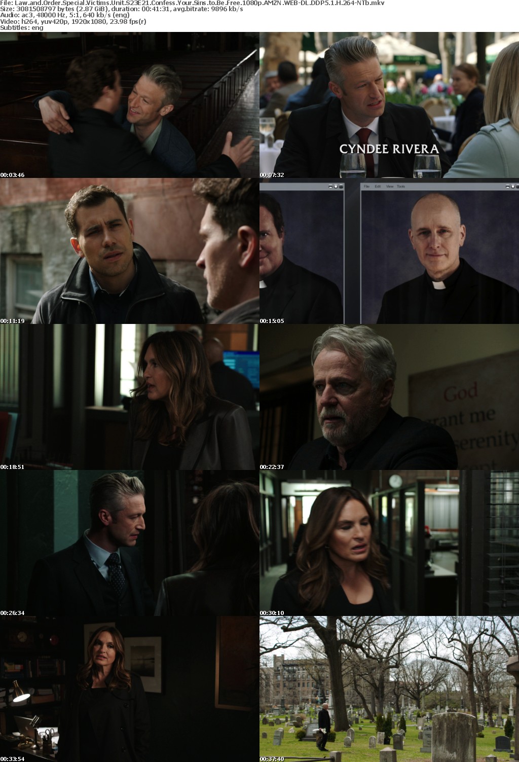Law and Order SVU S23E21 Confess Your Sins to Be Free 1080p AMZN WEBRip DDP5 1 x264