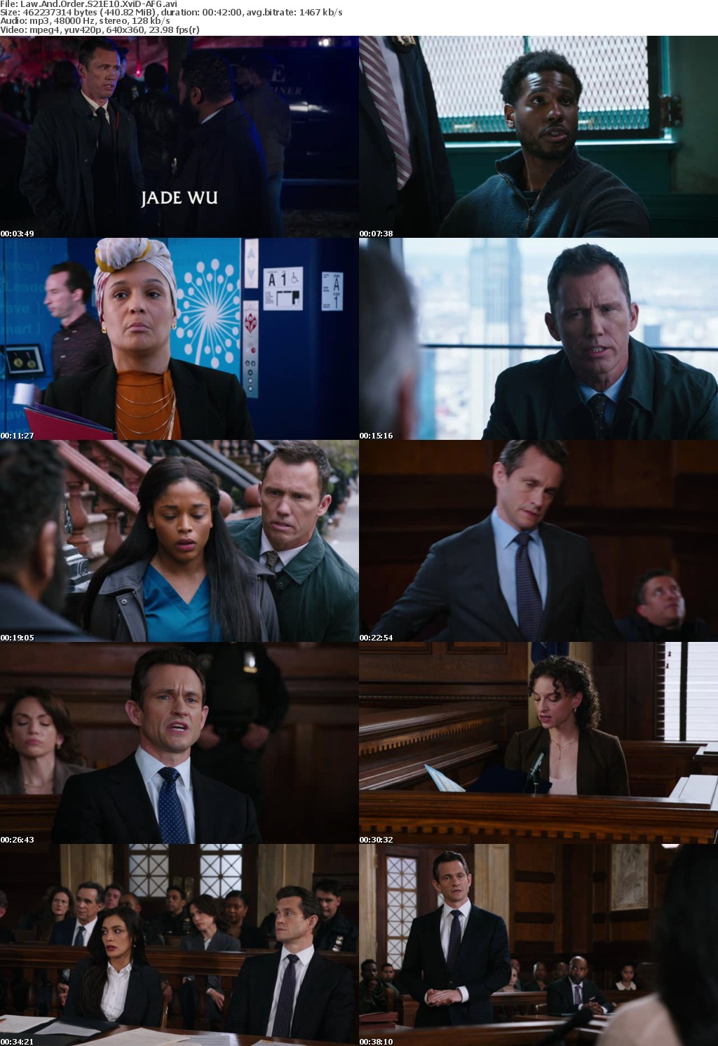 Law And Order S21E10 XviD-AFG