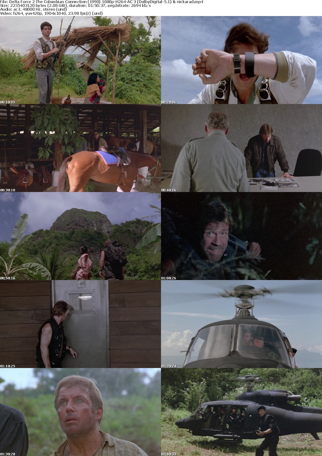 Delta Force 2 The Colombian Connection (1990)-Chuck Norris-1080p-H264-AC 3 (DolbyDigital-5 1) nickarad