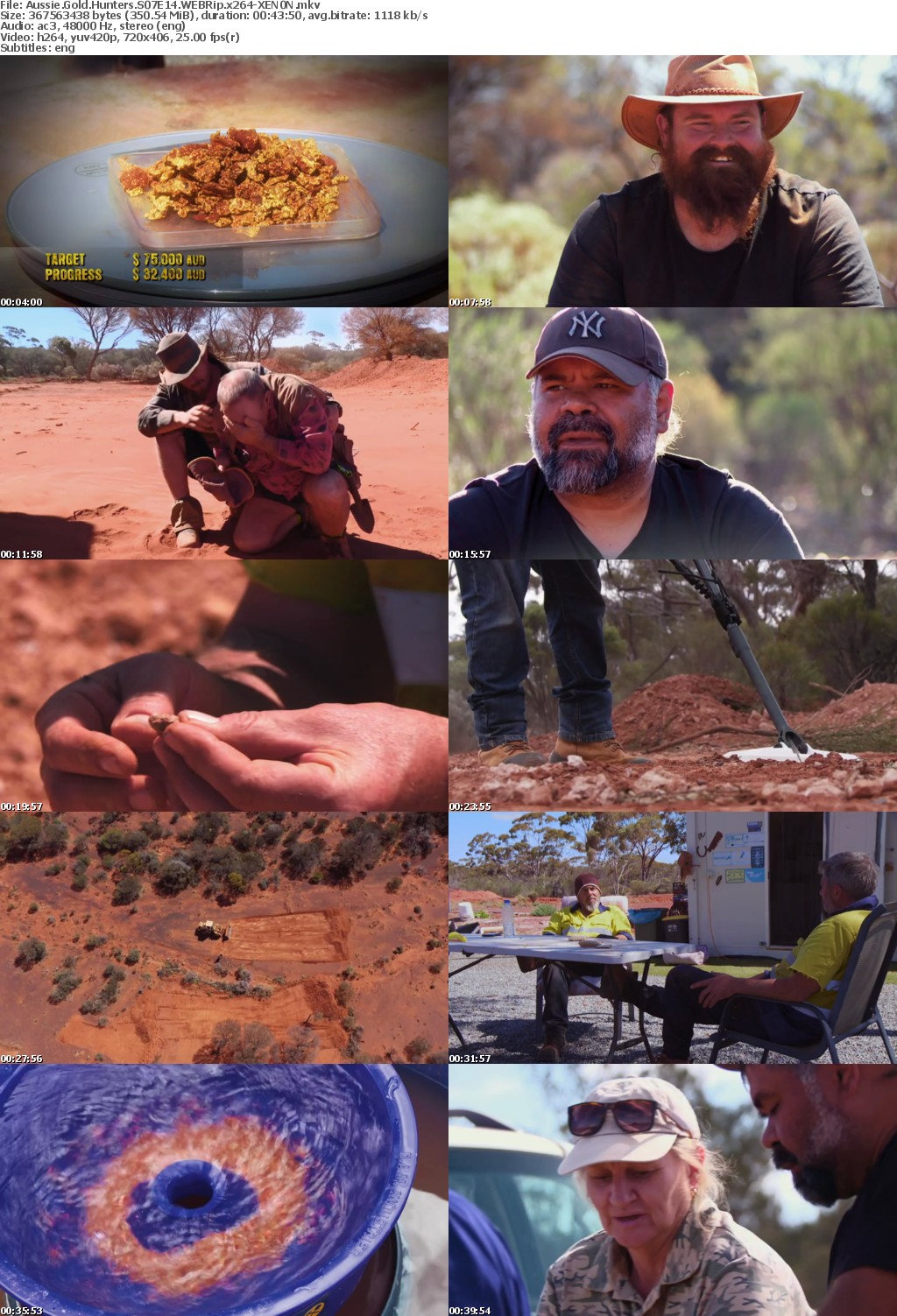 Aussie Gold Hunters S07E14 WEBRip x264-XEN0N