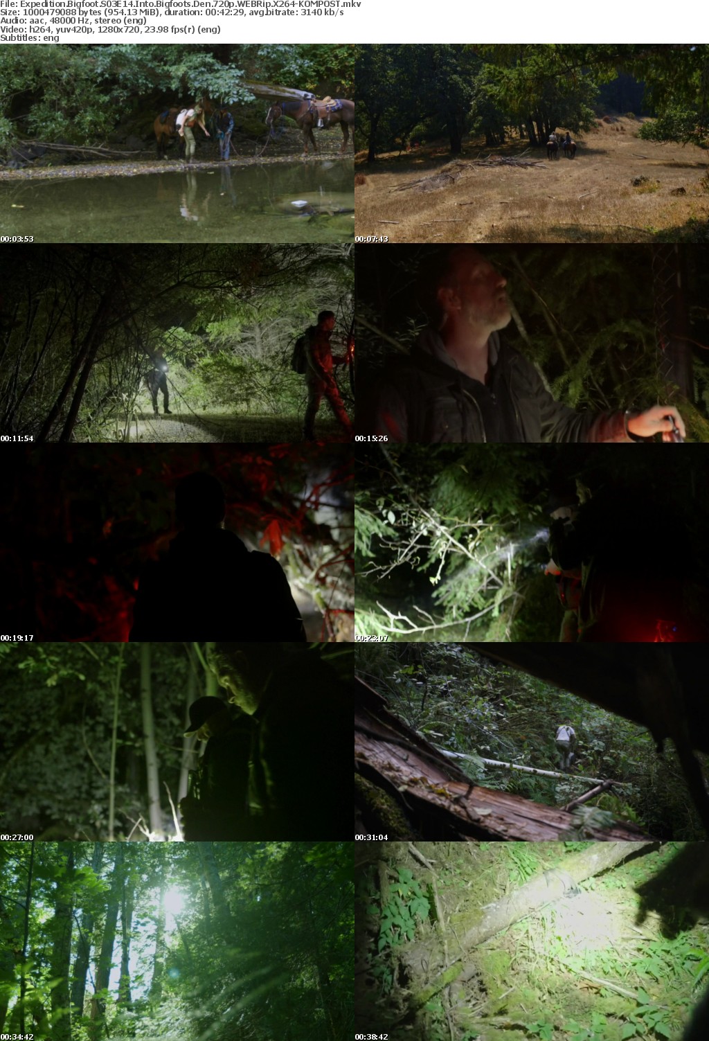 Expedition Bigfoot S03E14 Into Bigfoots Den 720p WEBRip X264-KOMPOST