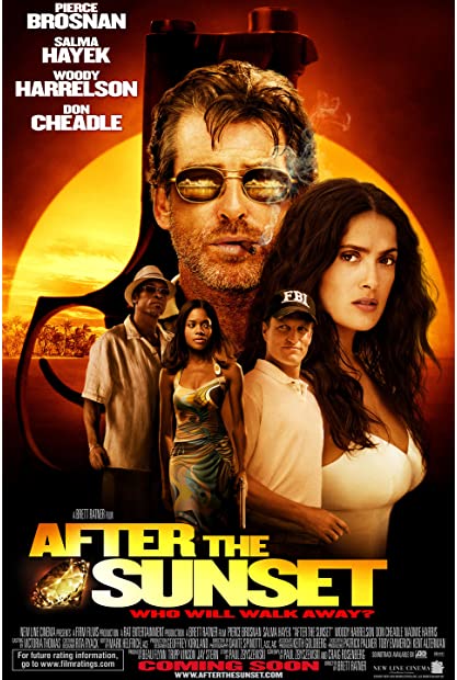 After the Sunset 2004 BluRay 720p DTS AC3 x264-MgB