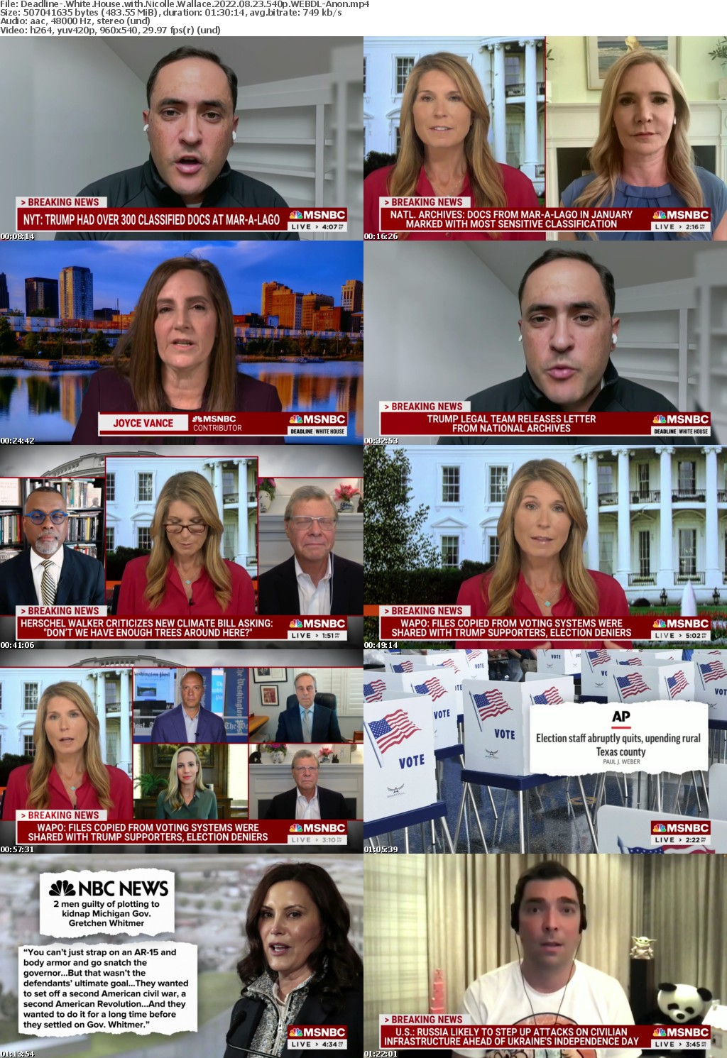 Deadline- White House with Nicolle Wallace 2022 08 23 540p WEBDL-Anon
