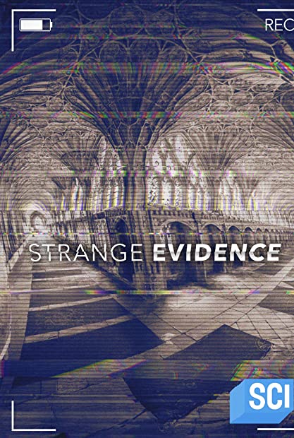 Strange Evidence S07E08 WEBRip x264-XEN0N