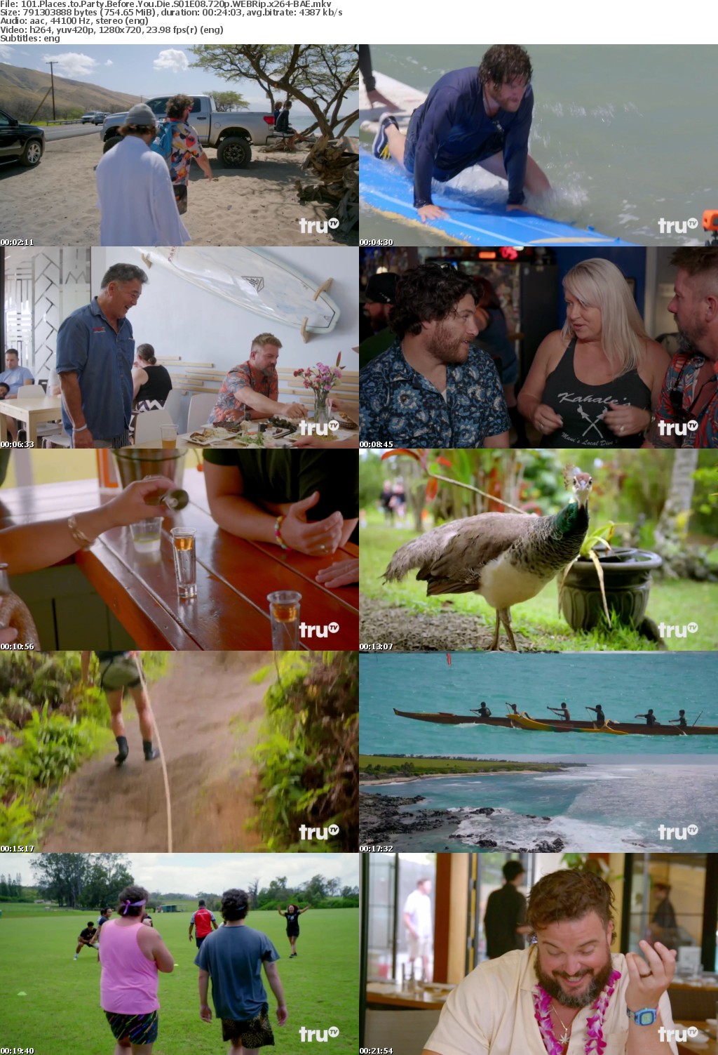 101 Places to Party Before You Die S01E08 720p WEBRip x264-BAE