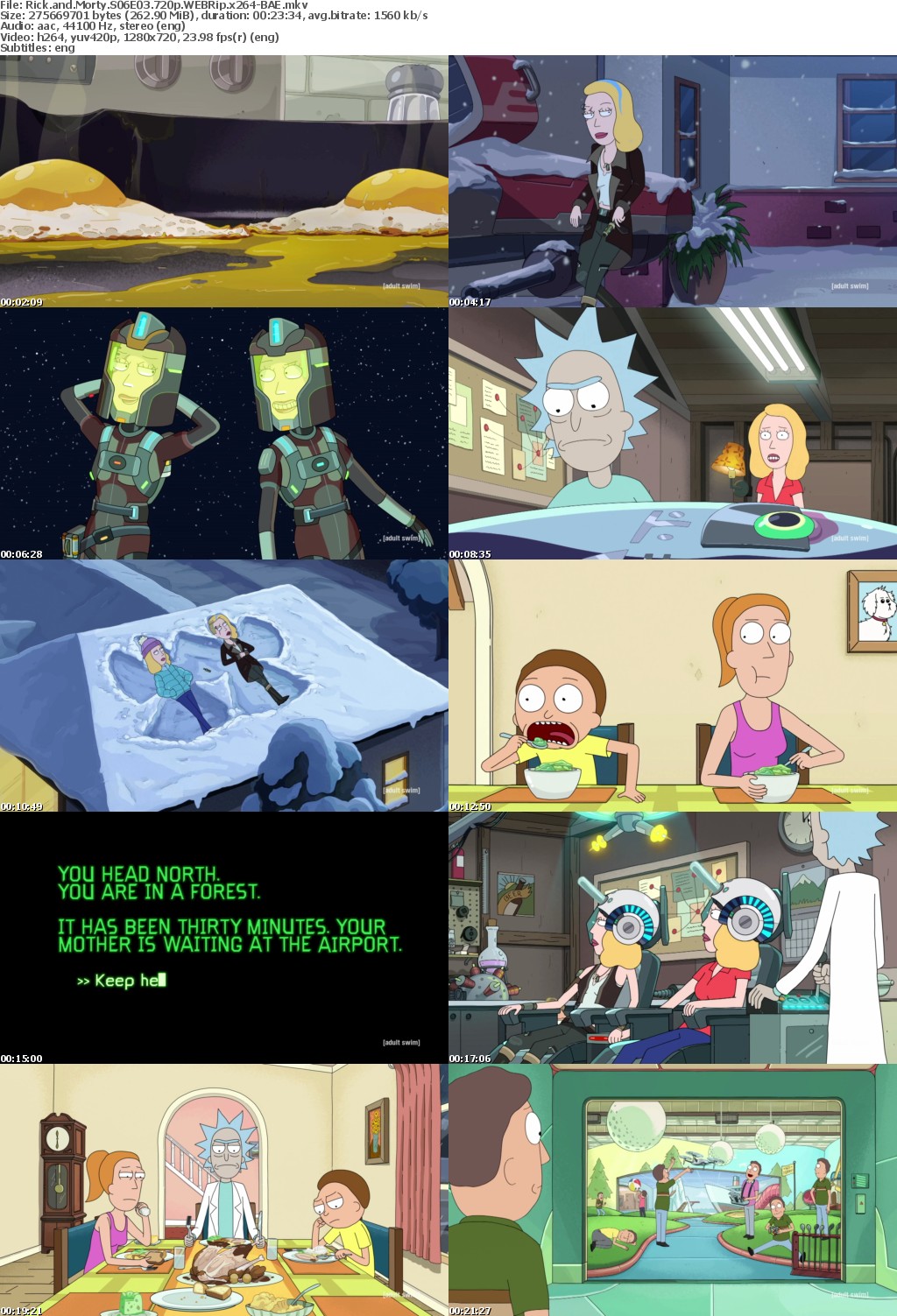 Rick and Morty S06E03 720p WEBRip x264-BAE