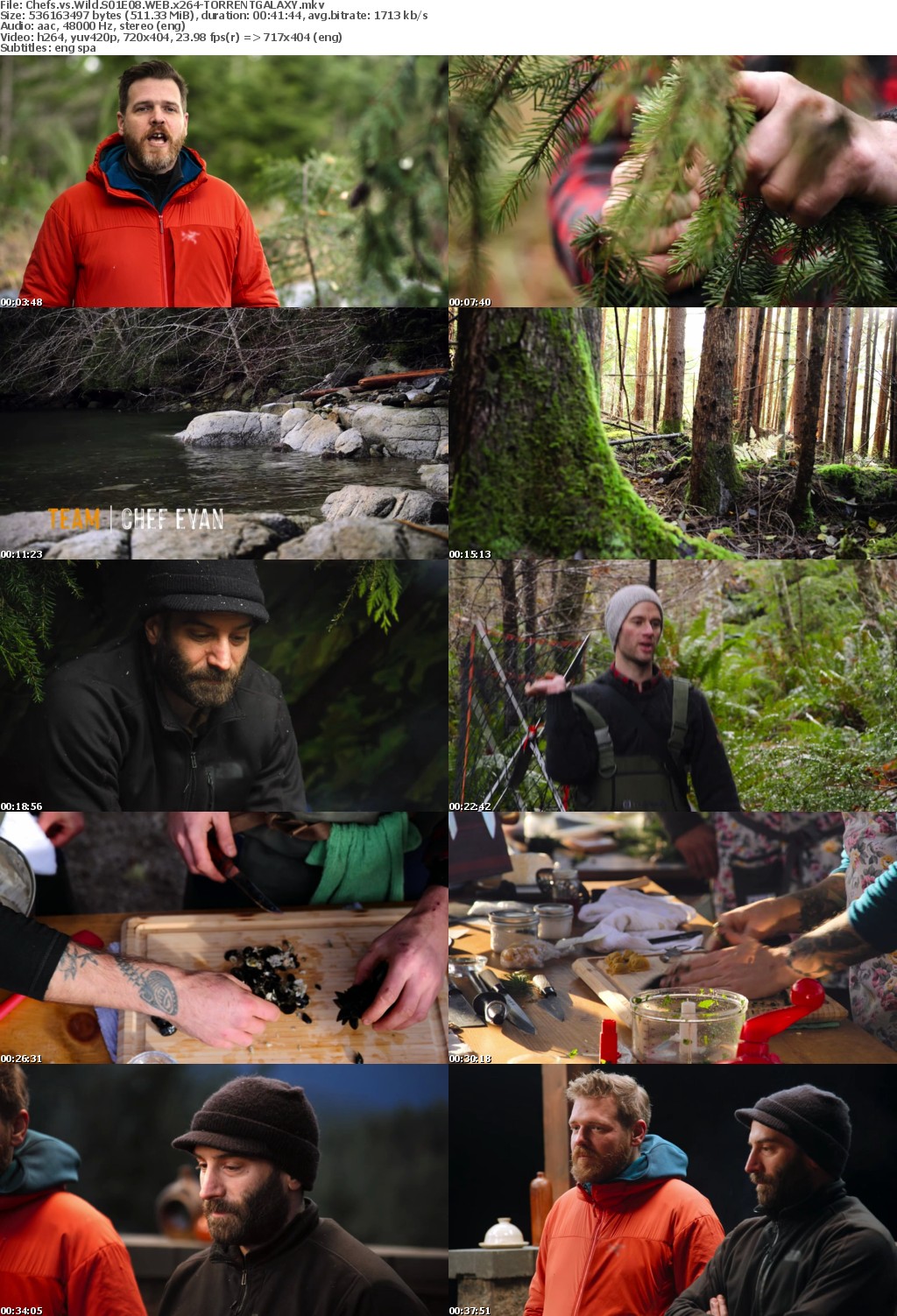 Chefs vs Wild S01E08 WEB x264-GALAXY
