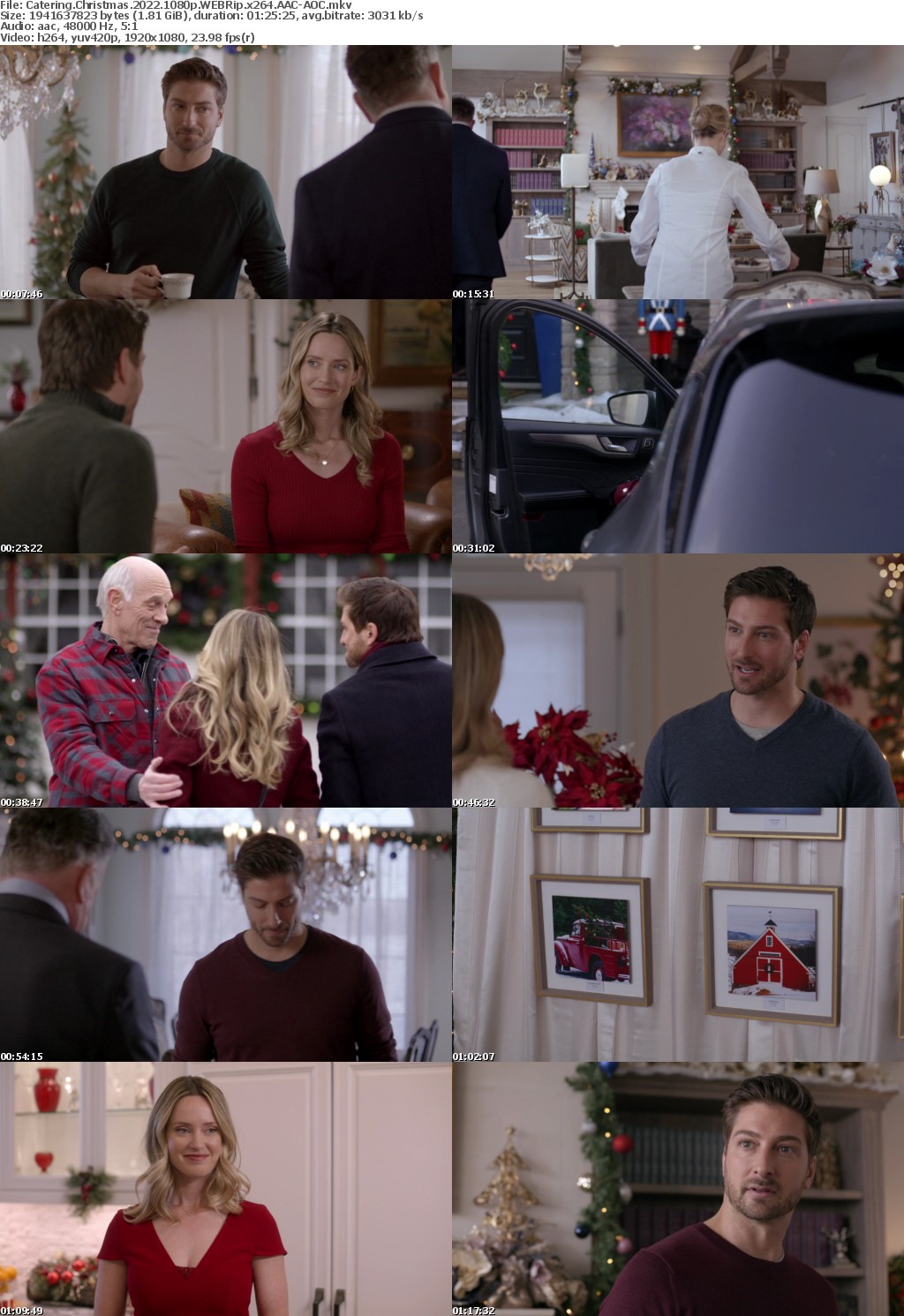 Catering Christmas 2022 1080p WEBRip x264 AAC-AOC