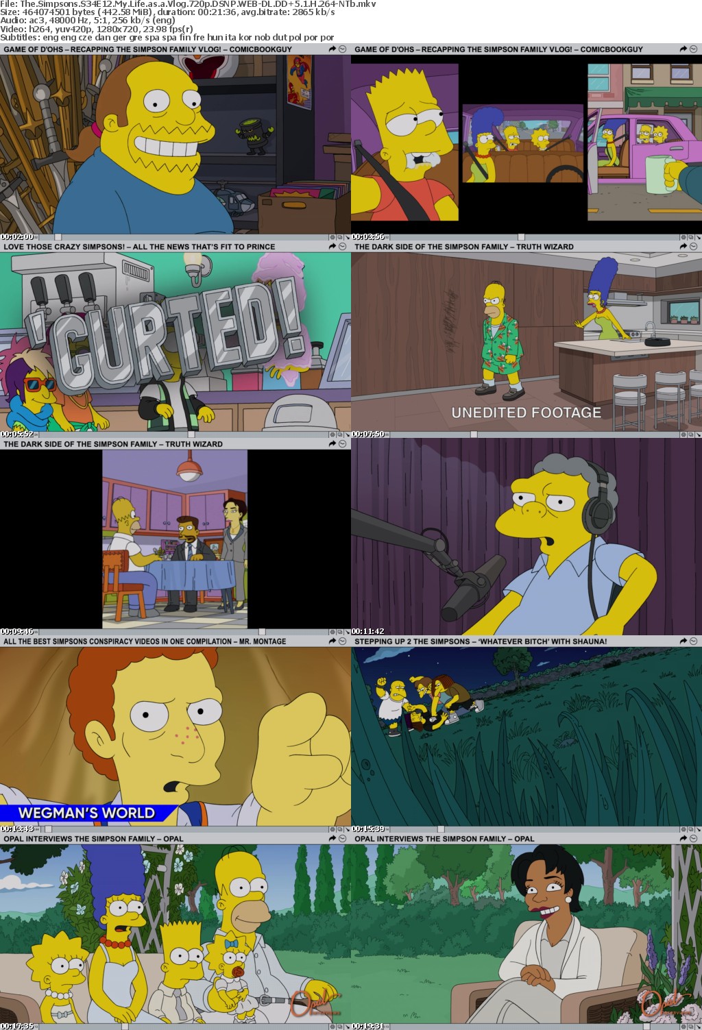 The Simpsons S34E12 My Life as a Vlog 720p DSNP WEBRip DDP5 1 x264-NTb
