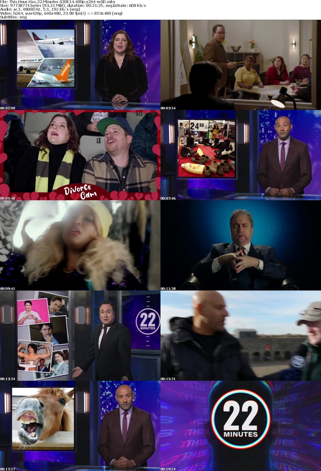 This Hour Has 22 Minutes S30E14 480p x264-mSD