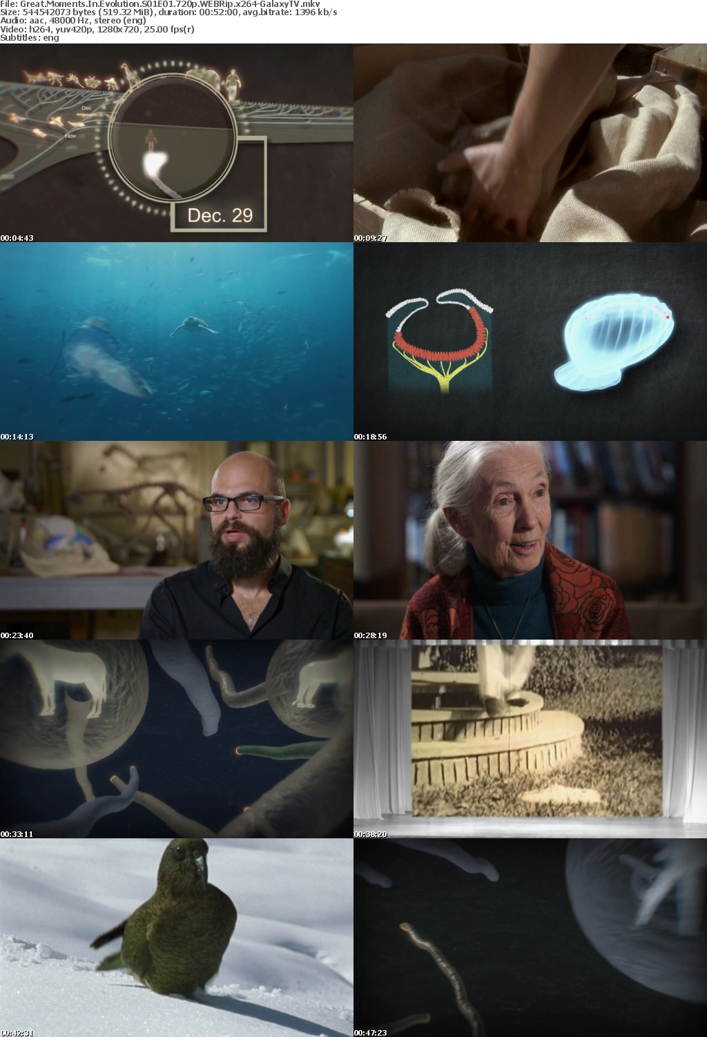 Great Moments In Evolution S01 COMPLETE 720p WEBRip x264-GalaxyTV