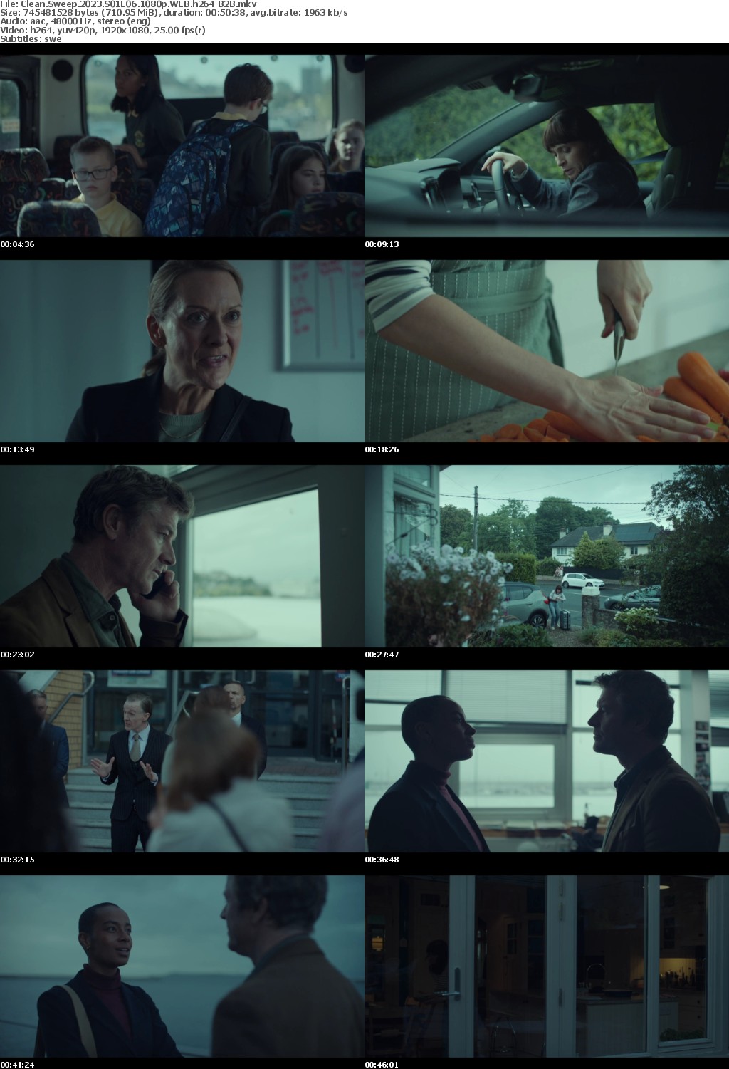 Clean Sweep 2023 S01 COMPLETE 1080p WEB h264-B2B