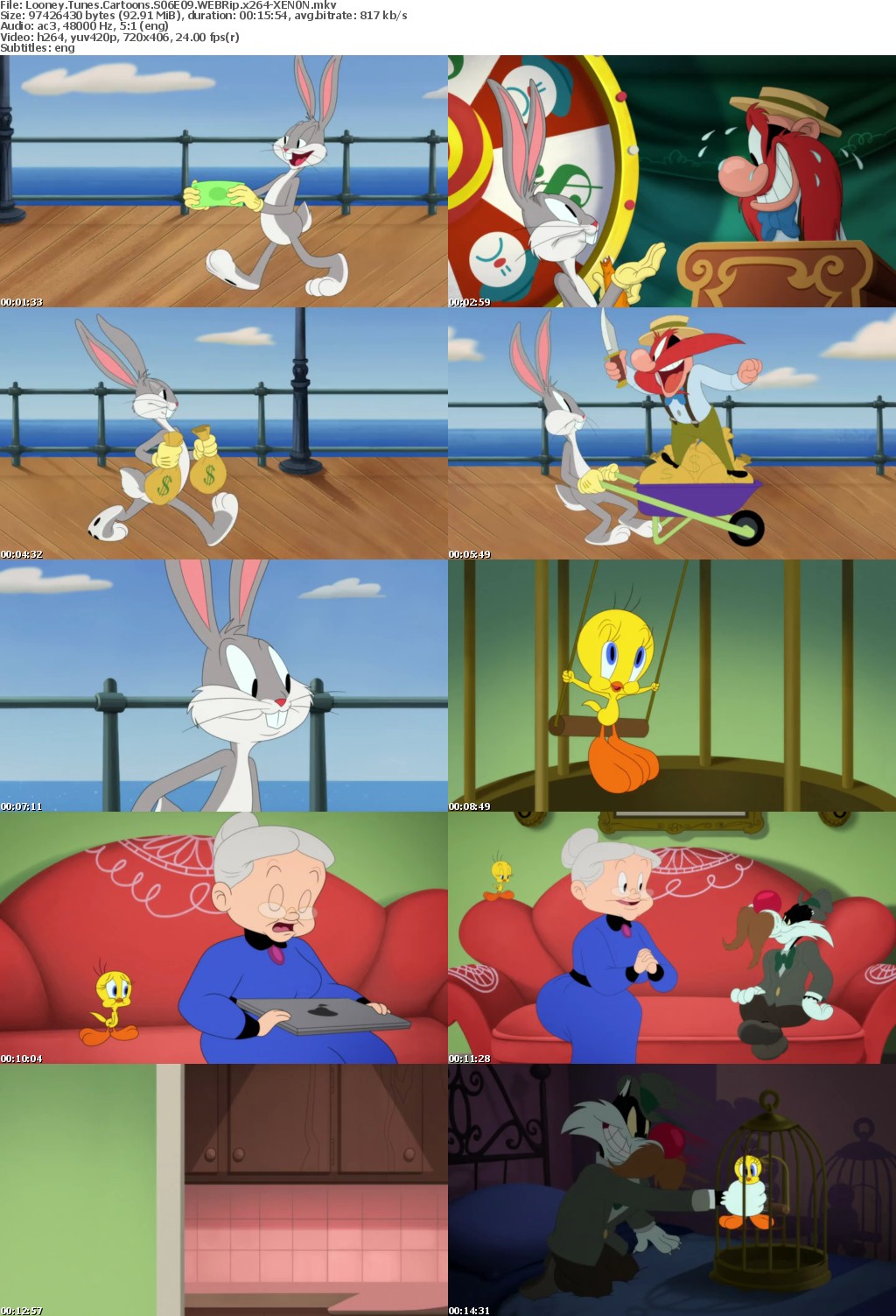 Looney Tunes Cartoons S06E09 WEBRip x264-XEN0N