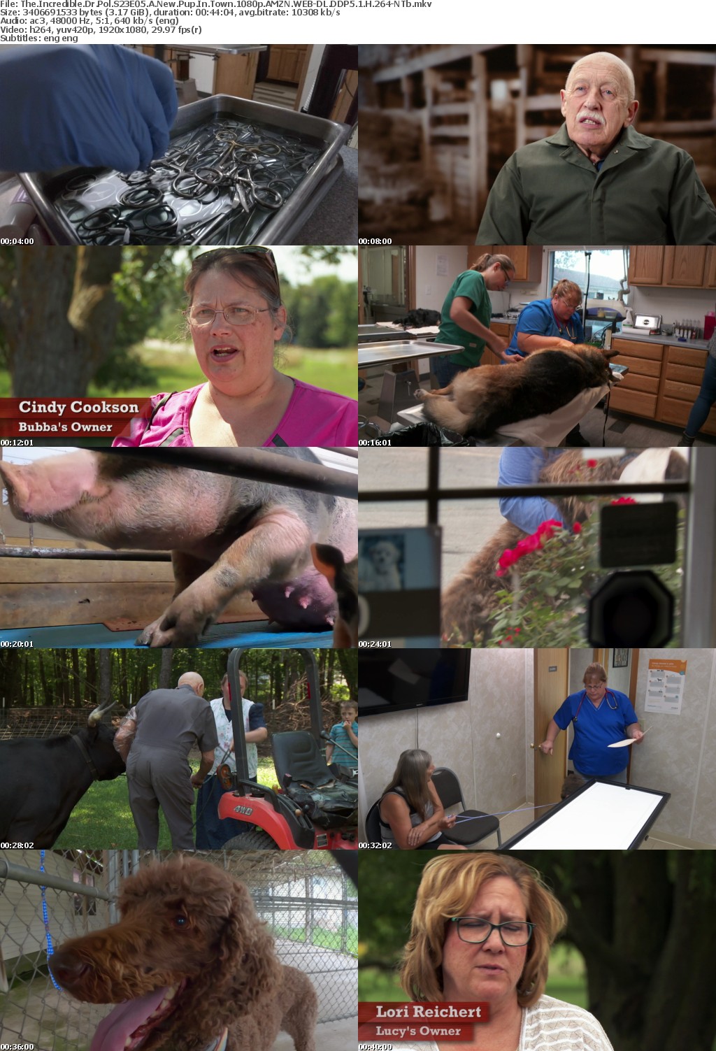 The Incredible Dr Pol S23E05 A New Pup In Town 1080p AMZN WEB-DL DDP5 1 H 264-NTb