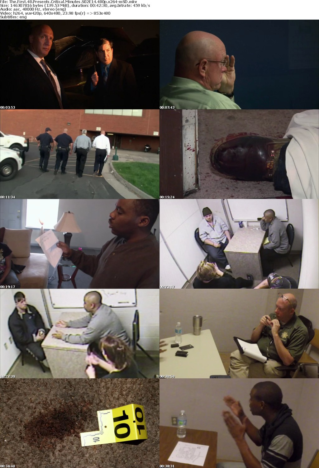 The First 48 Presents Critical Minutes S02E14 480p x264-mSD
