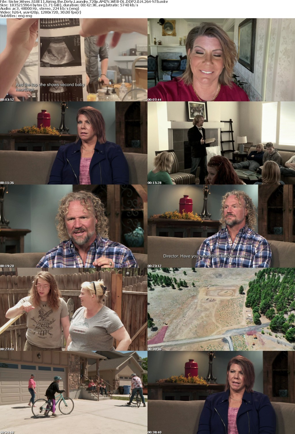 Sister Wives S18E11 Airing the Dirty Laundry 720p AMZN WEB-DL DDP2 0 H 264-NTb