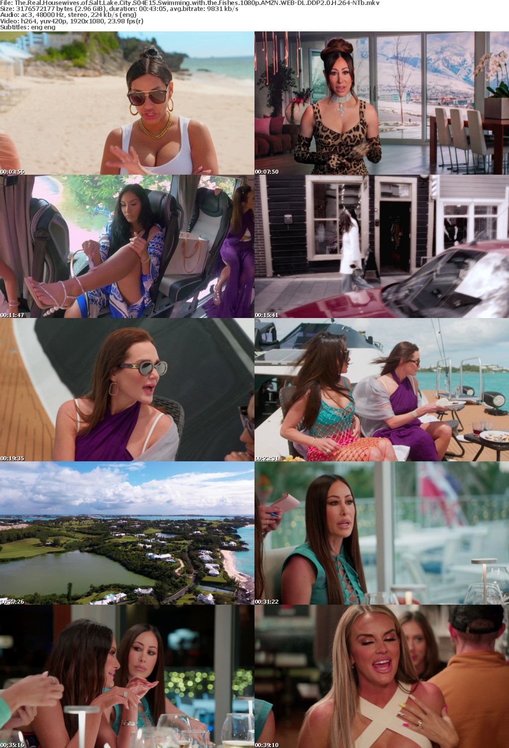 The Real Housewives of Salt Lake City S04E15 Swimming with the Fishes 1080p AMZN WEB-DL DDP2 0 H 264-NTb