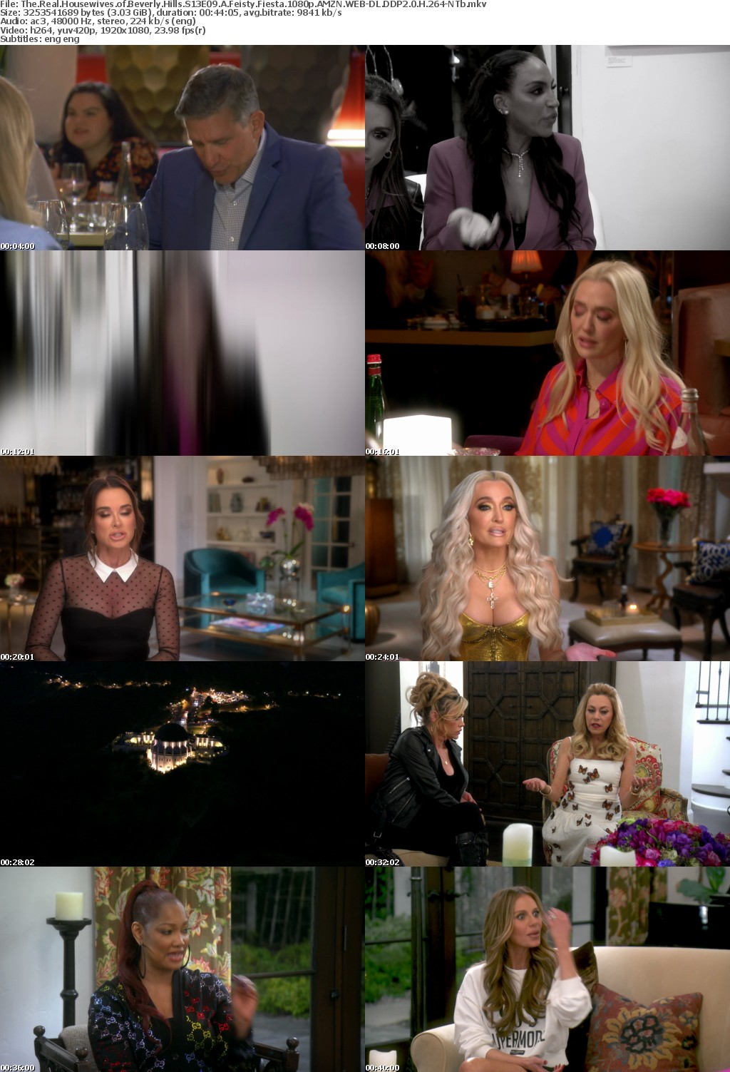 The Real Housewives of Beverly Hills S13E09 A Feisty Fiesta 1080p AMZN WEB-DL DDP2 0 H 264-NTb
