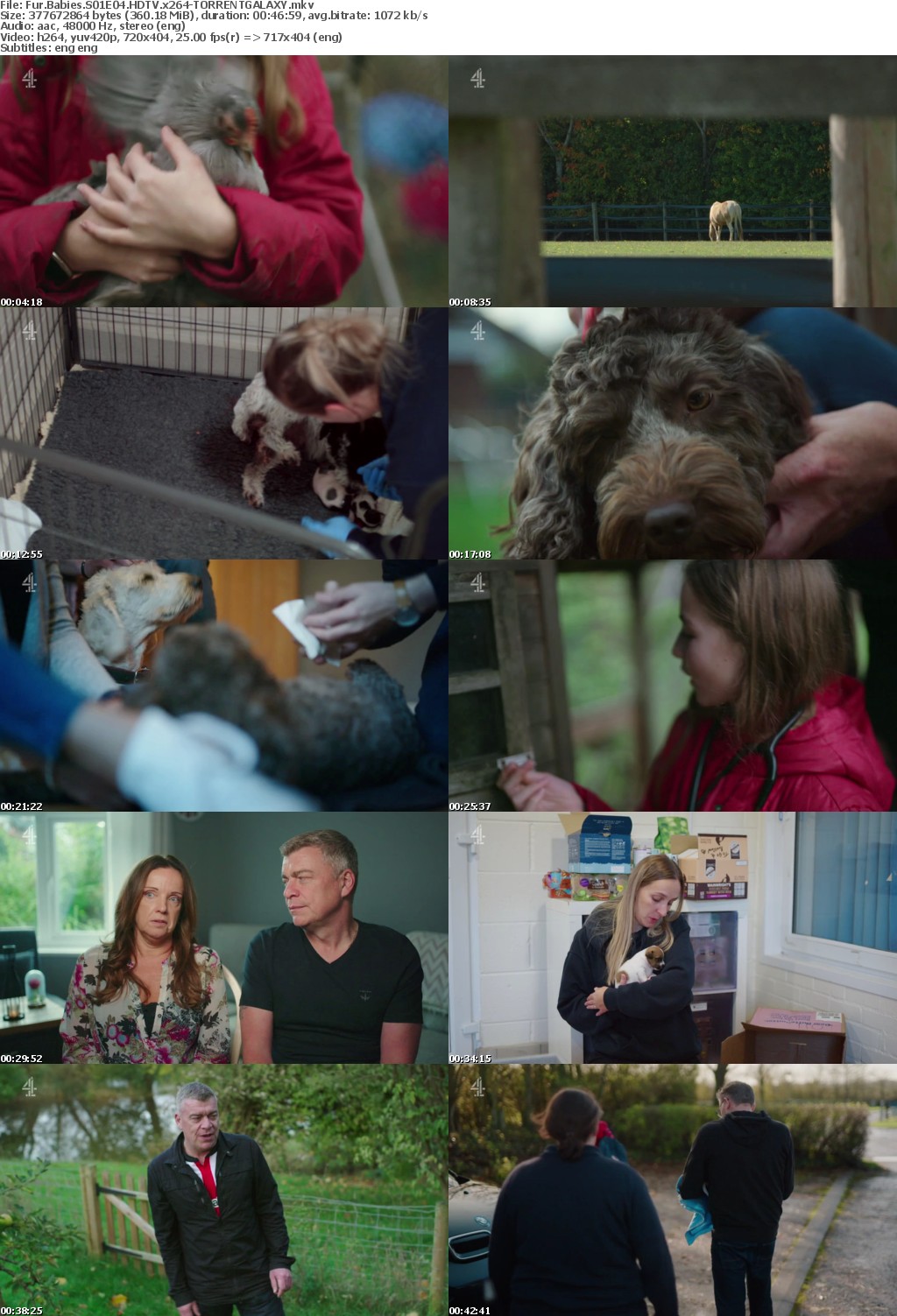 Fur Babies S01E04 HDTV x264-GALAXY