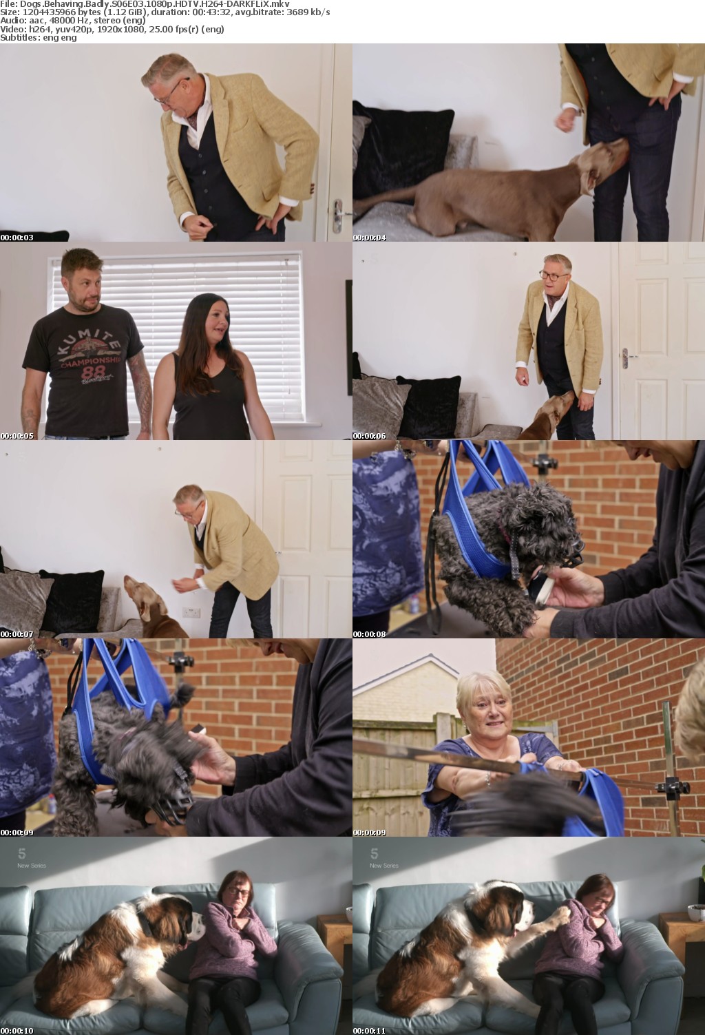 Dogs Behaving Badly S06E03 1080p HDTV H264-DARKFLiX