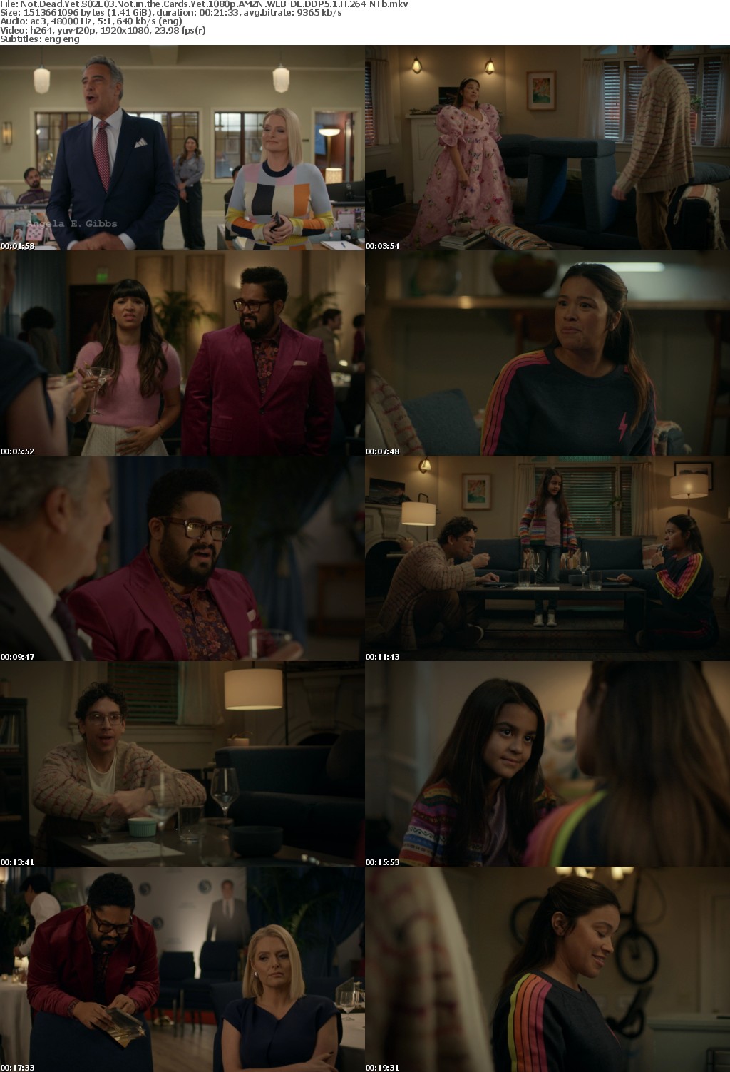 Not Dead Yet S02E03 Not in the Cards Yet 1080p AMZN WEB-DL DDP5 1 H 264-NTb