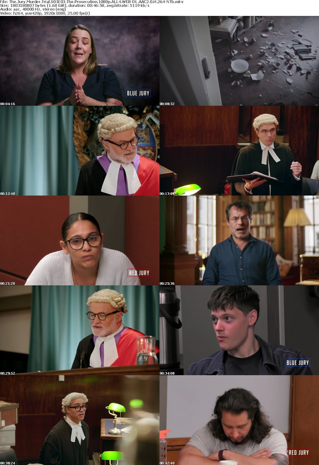 The Jury Murder Trial S01E03 The Prosecution 1080p ALL4 WEB-DL AAC2 0 H 264-NTb