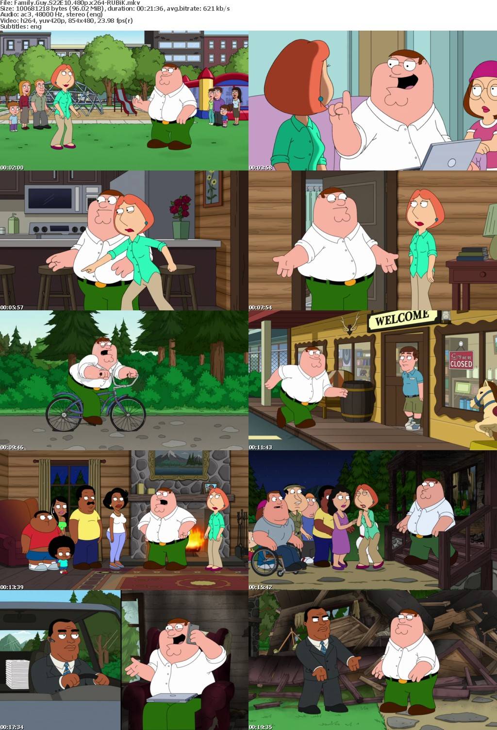 Family Guy S22E10 480p x264-RUBiK Saturn5