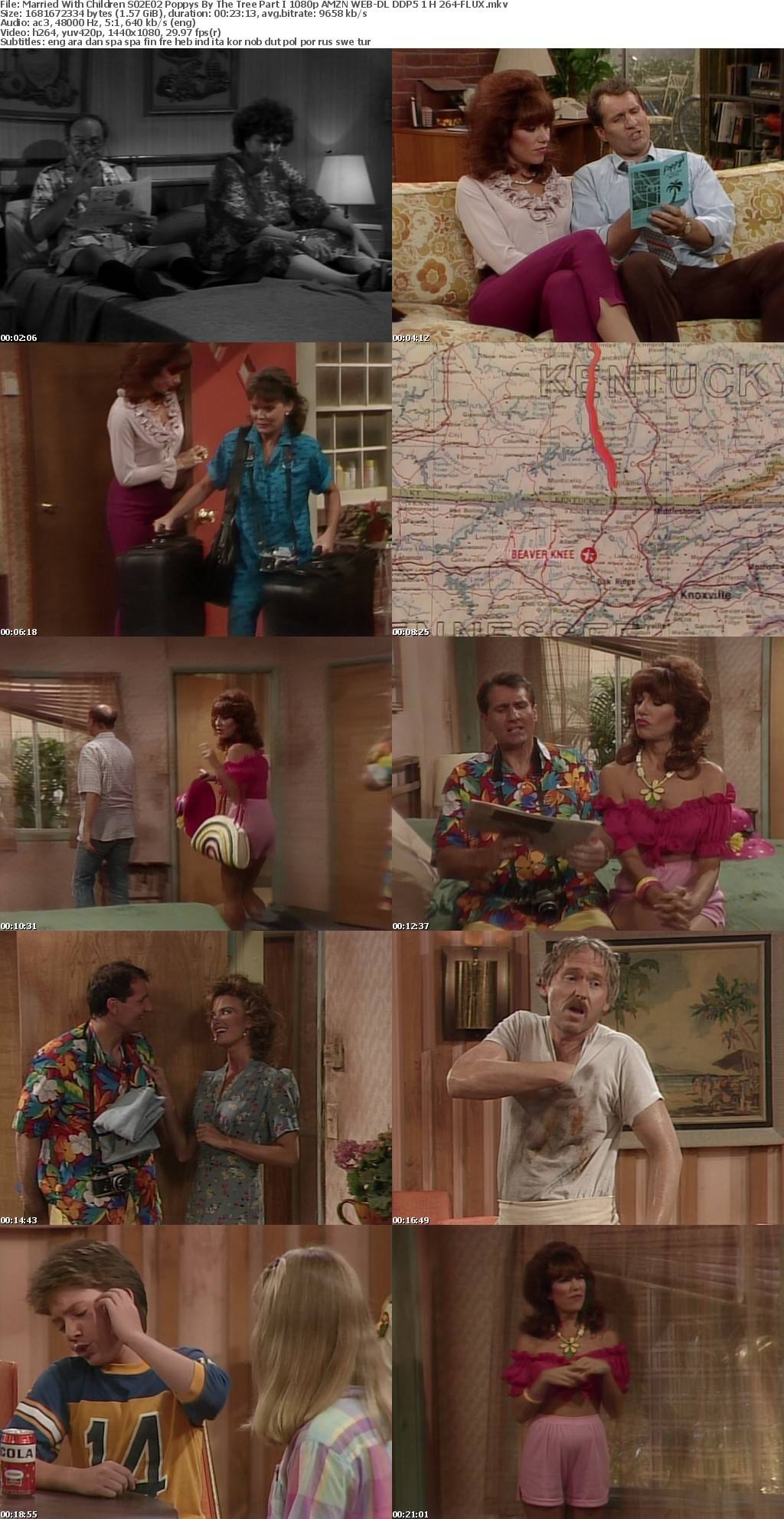 Married With Children S02E02 Poppys By The Tree Part I 1080p AMZN WEB-DL DDP5 1 H 264-FLUX